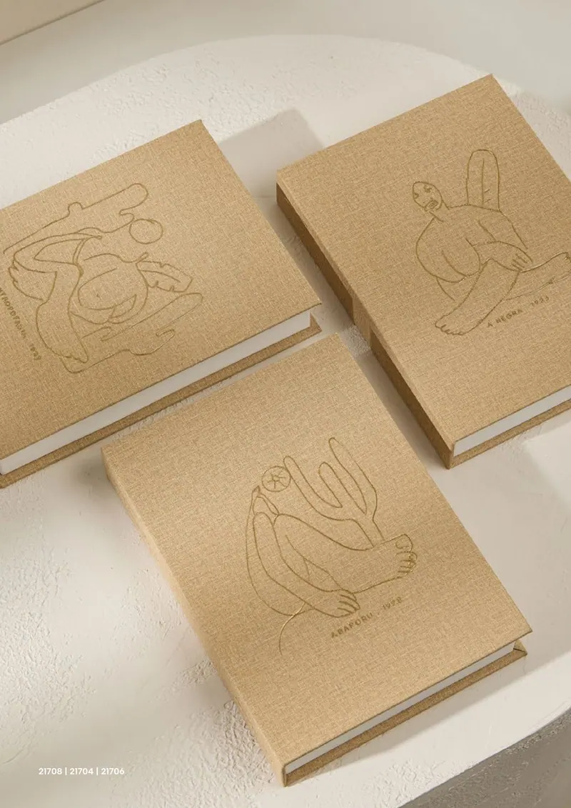 Livros decorativos embossed — trio